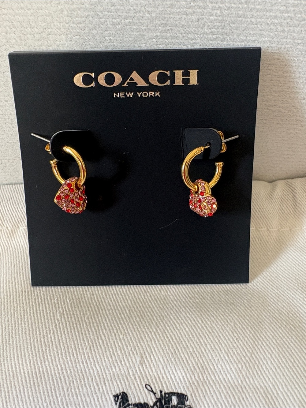 Coach Earrings